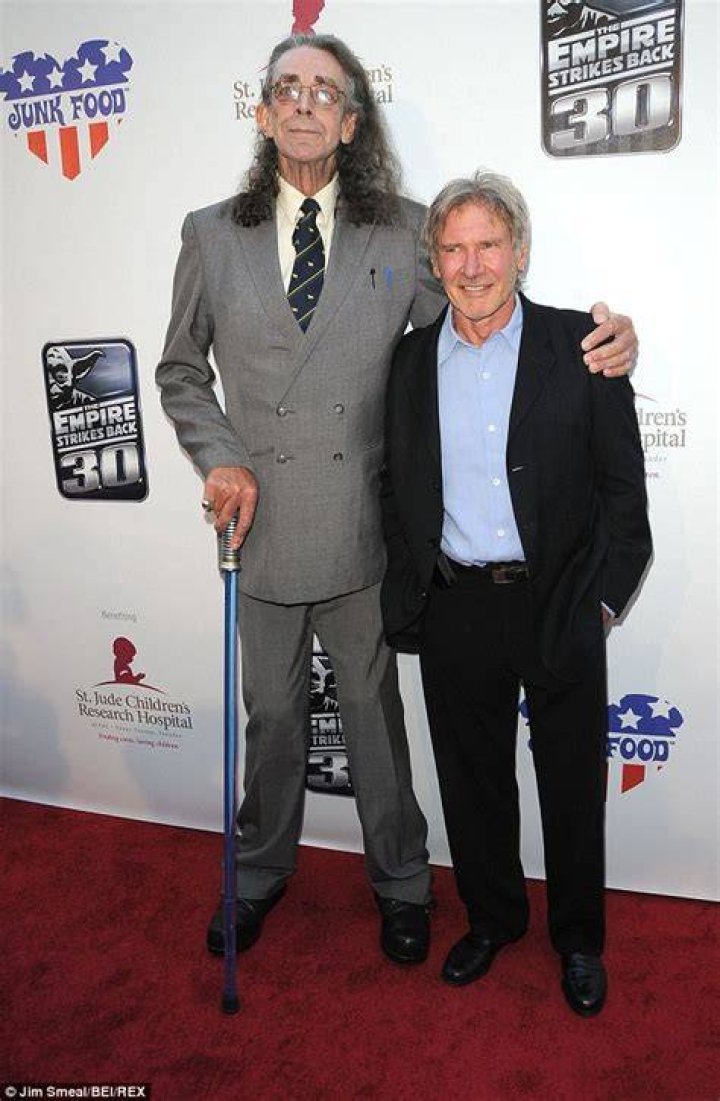 Peter Mayhew Net Worth Short bio, age, height, weight Net Worth
