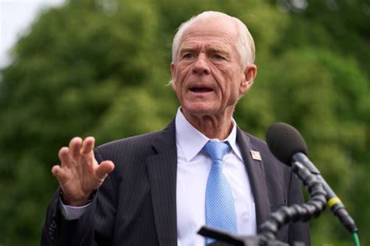 Peter Navarro Biography