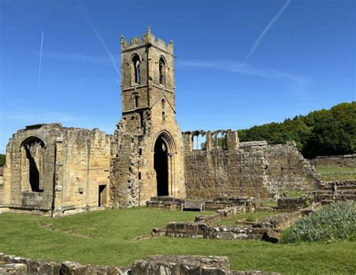 Photos of The Priory of the Orange Tree Map of East in 2022 Tree