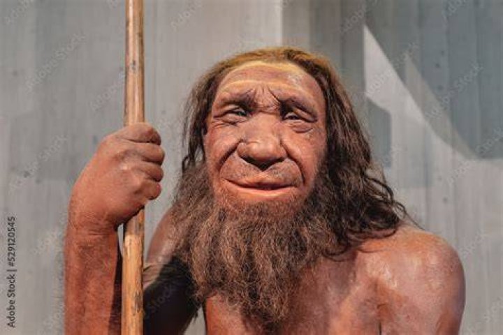Picture of the Day Caveman Circus