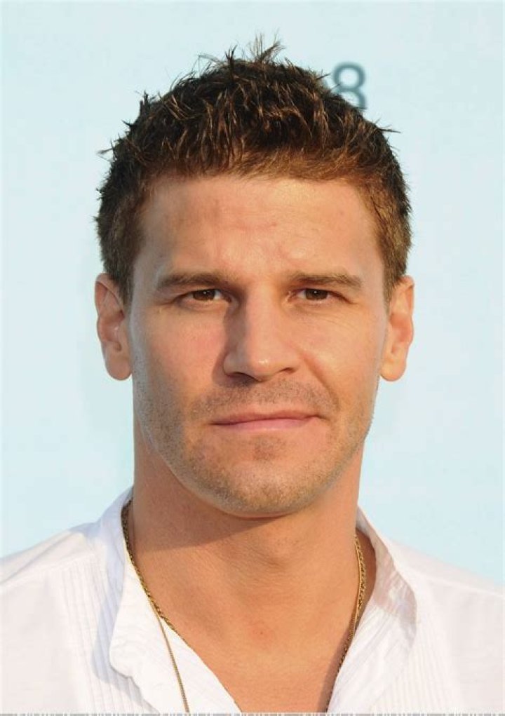 Pin on David Boreanaz