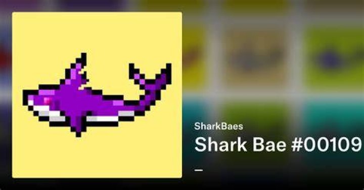 Shark Bae 00080 SharkBaes OpenSea