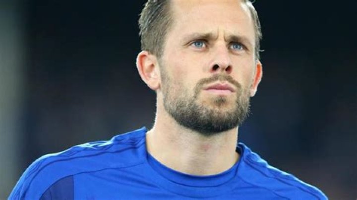 Sigurdsson admits to falling short at Everton myKhel