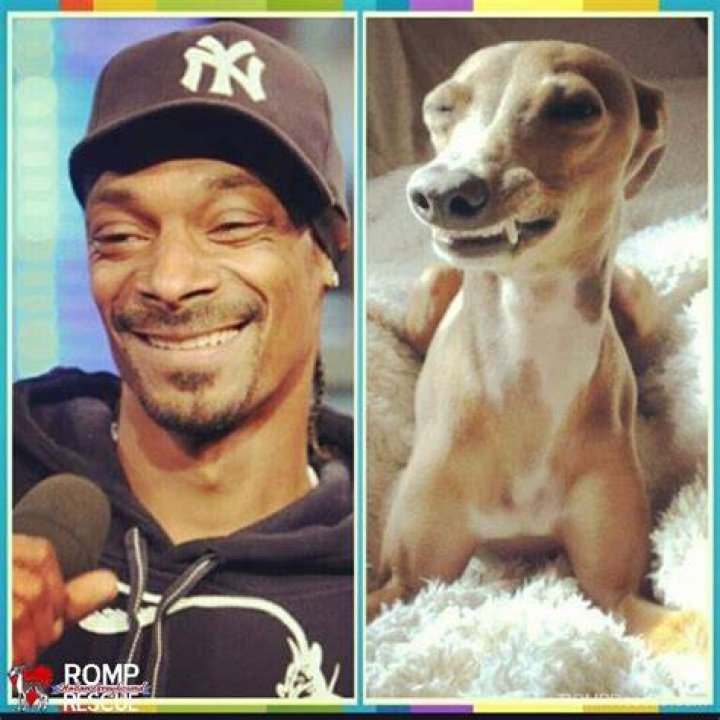 Snoop Dogg Poses With Lookalike Following Twitter Frenzy