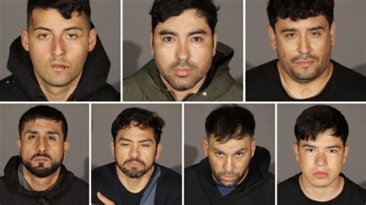 Suspects, Xolo-dimitrov