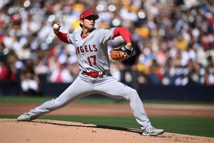 Team of baseball star Ohtani's older brother advances to Japan city