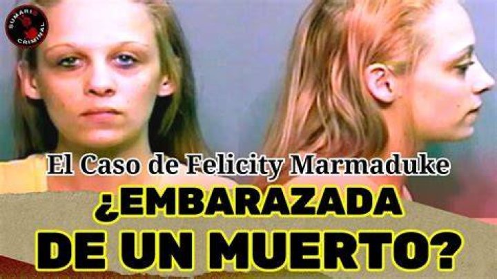 The Disappearance Of Felicity Marmaduke's Baby