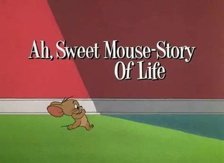 The life story of Jerry McSorley, Shannon Spake&rsquo;s husband Briefly.co.za