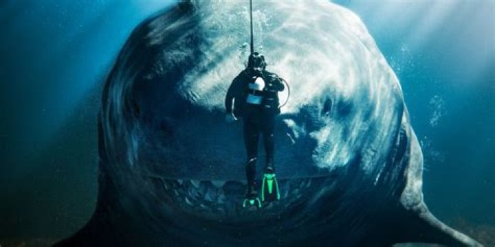 The Meg has brought out an army of 'megalodon believers' from the murky