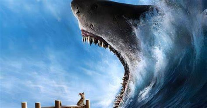 The Meg, megalodon sharks the truth explained NT News