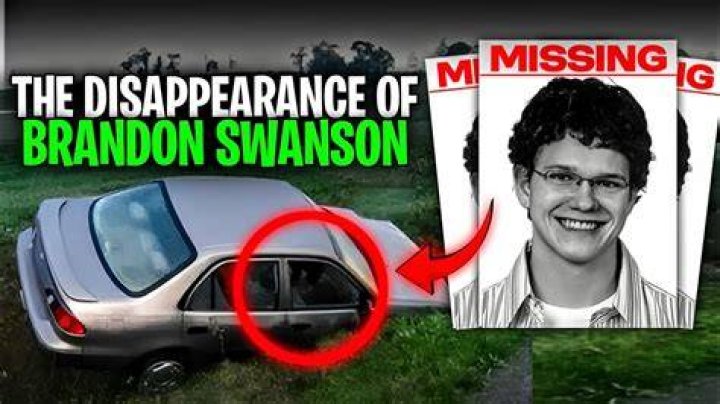 The Mysterious Disappearance of Brandon Swanson by Megan Ashley