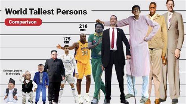 Top 5 how tall is lil kim best, you should know Electronic Documents