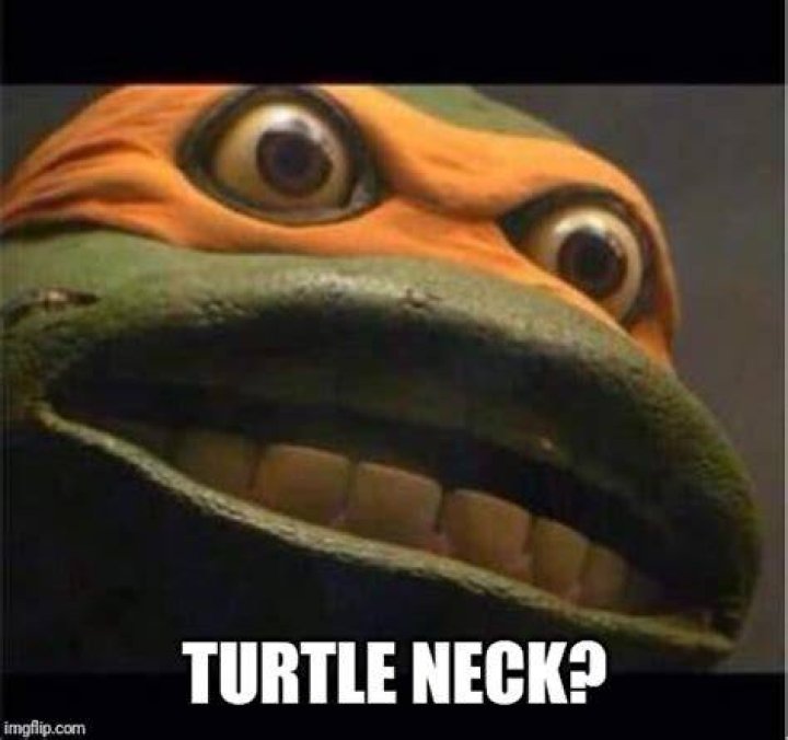 Turtle necks Imgflip
