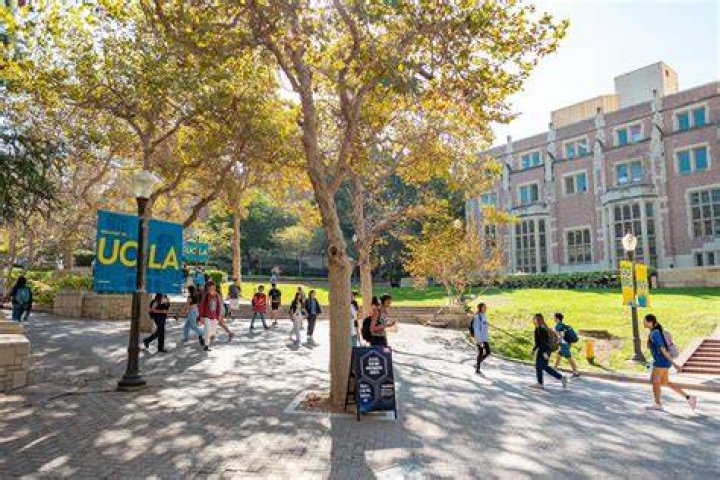 UCLA today Students take &lsquo;diversity&rsquo; and skip history