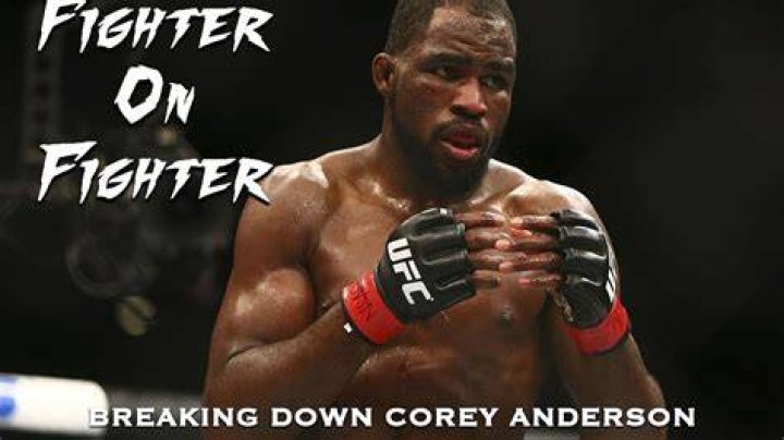UFC Fighter Corey Anderson's Wife Jenny D’Acquisto; How is their