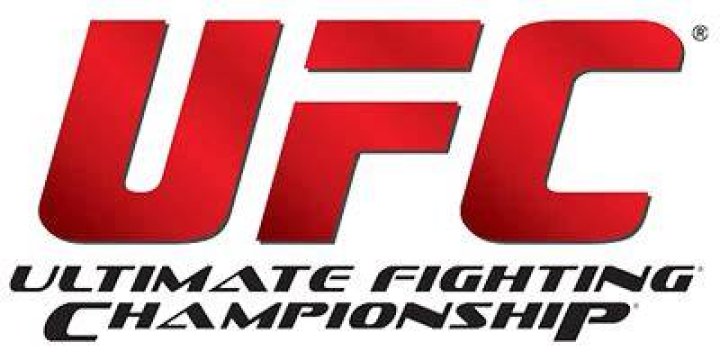 UFC's Arianny Celeste Responds To Domestic Violence Arrest Bloody Elbow