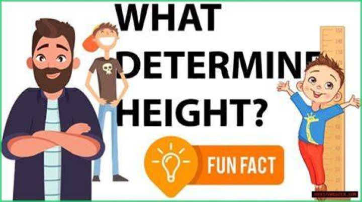 Uncovering Her Height, Weight, Age, Spouse, And Family Facts