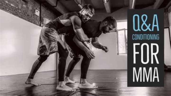 Unlocking The Secrets Of MMA's Financial Triumph