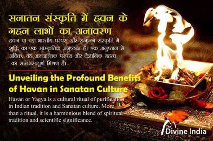 Unveiling The Enigma Of Havan Flores: Discoveries And Insights