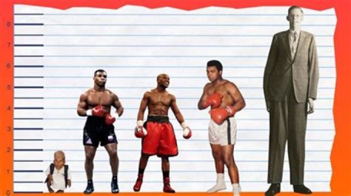 Unveiling The Enigma Of Maxwell's Height: A Journey Of Discovery