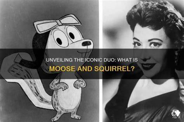 Unveiling The Iconic Duo: Shurrie Diggs And Dennis Coles