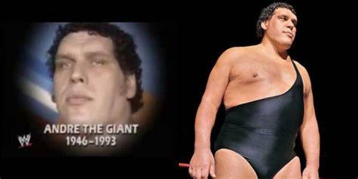 Unveiling The Life And Legacy Of Andre The Giant's Father: Discoveries And Insights