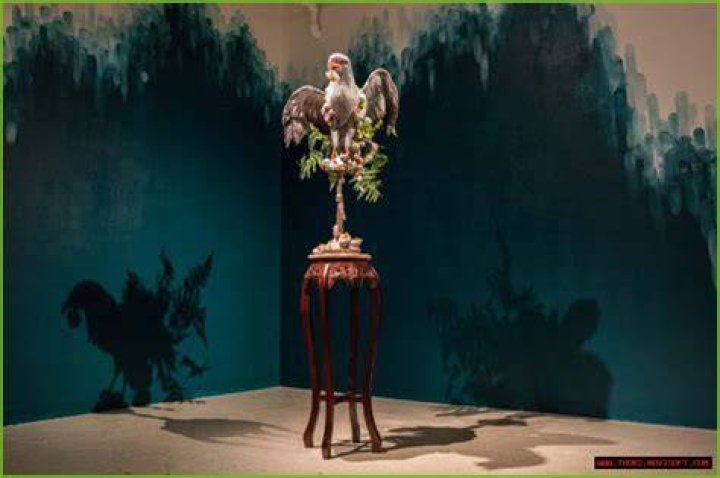 Unveiling The Multifaceted World Of Adjua Ferguson: Discoveries And Insights
