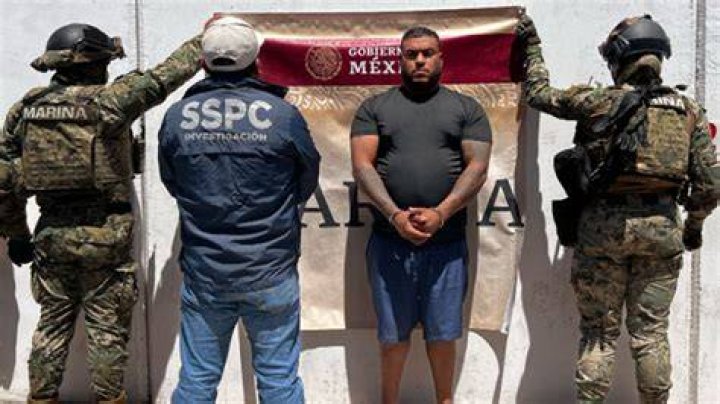 Unveiling The Secrets Of A Mexican Drug Empire