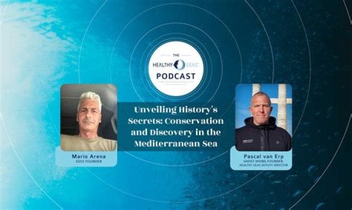 Unveiling The Secrets Of "mario Solis Partner": A Journey Of Discovery