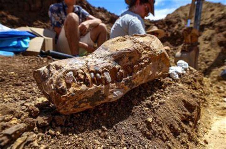 Unveiling The Treasures Of Rayford's Memphis: Discoveries And Insights