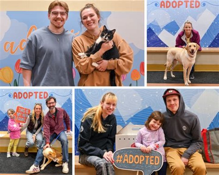 Unveiling The Westbrook Animal Refuge League