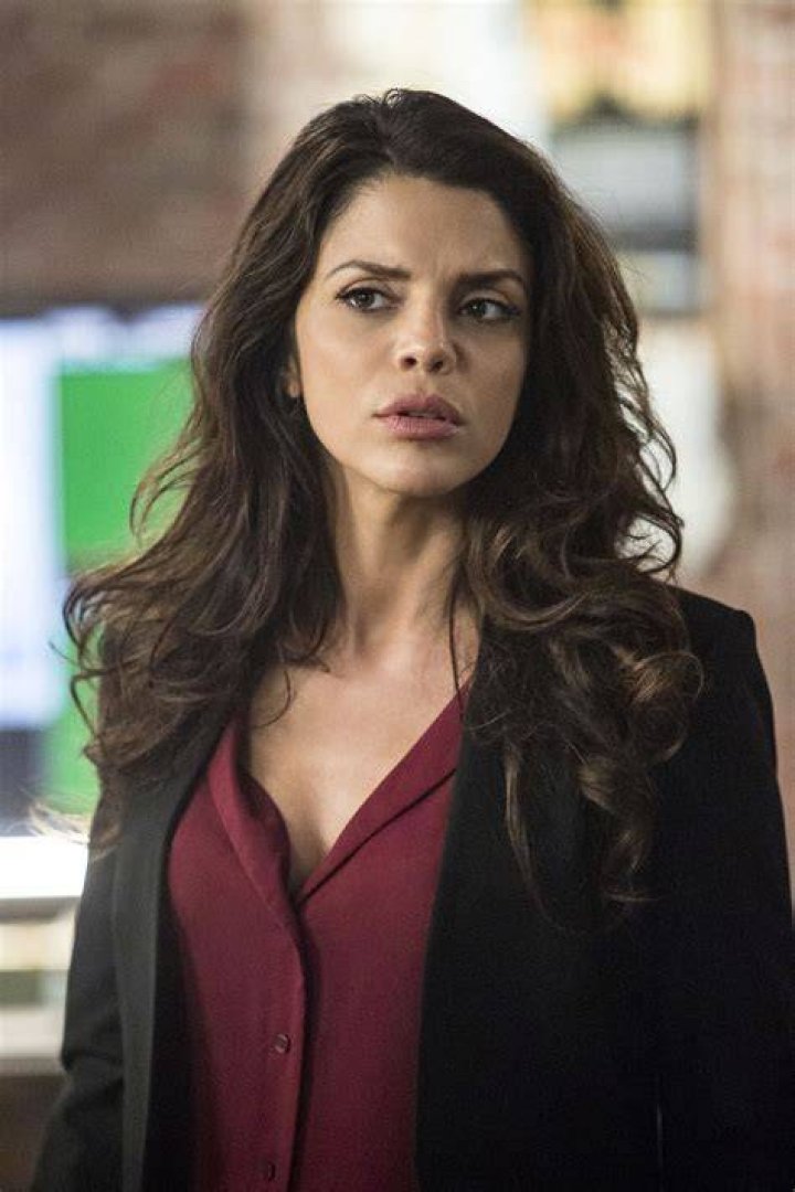 Vanessa Ferlito Biography, Body Net Worth, Son, Net Worth, Husband
