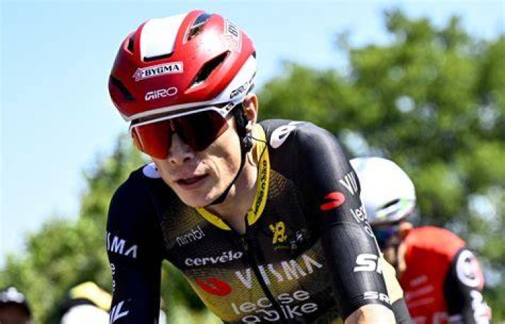 Vingegaard to be Tour de France champion Global Times