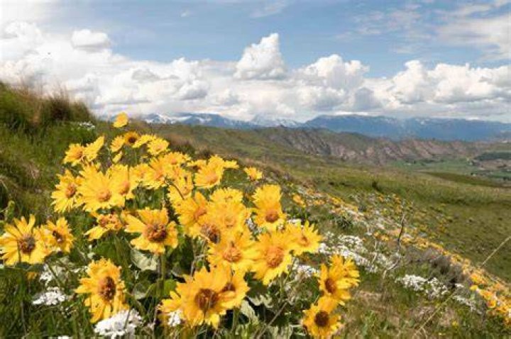 Wenatchee Valley Visitor Guide Spring & Summer 2018 by The Wenatchee