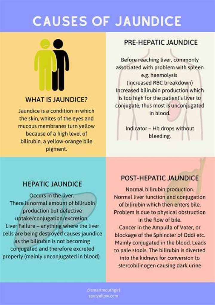 What Causes Jaundice & How Long Does It Usually Last?