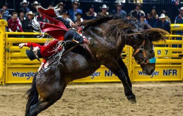 What Did Rocker Steiner Say At The NFR And Why Did He Go To Jail? ·