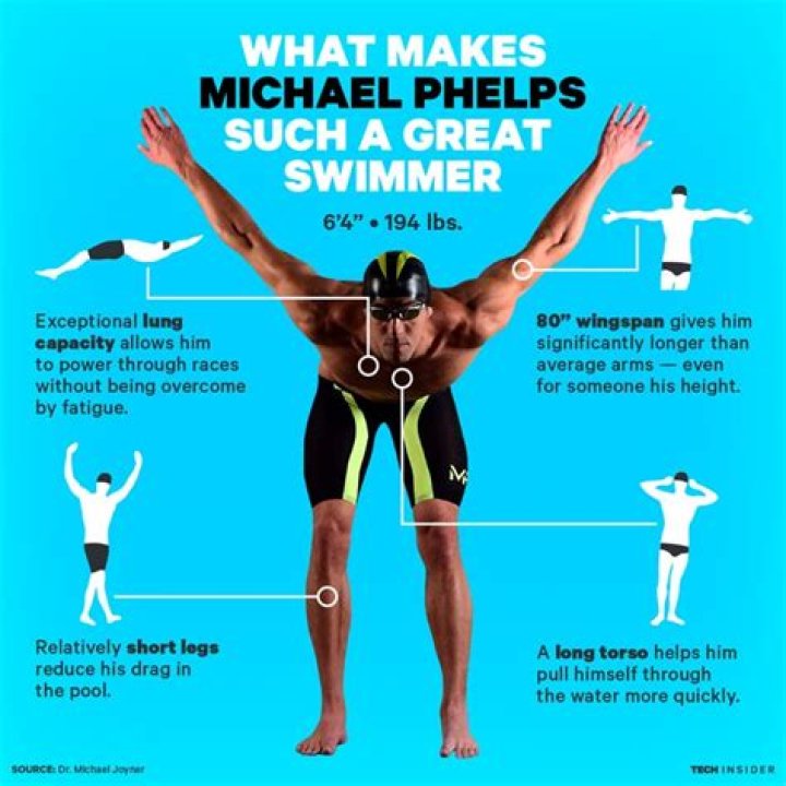 What Is Michael Phelps Wingspan? Tony Florida Michael phelps