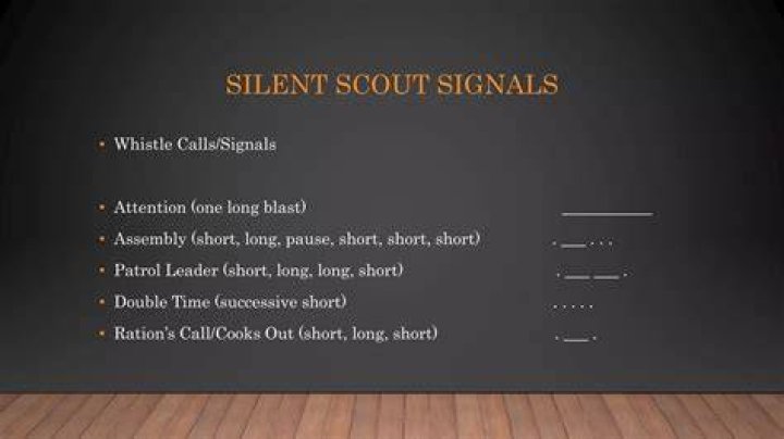 WHO calls scout a coward? ·