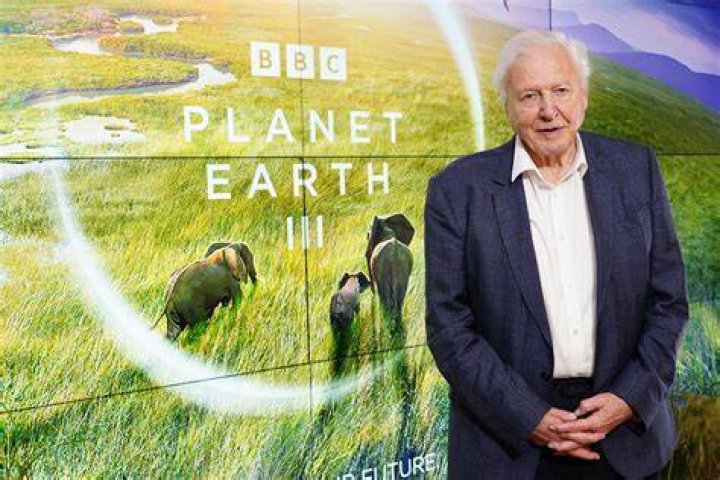 Who Is David Attenborough? Check Is He Dead Or Alive? Death Hoax Real