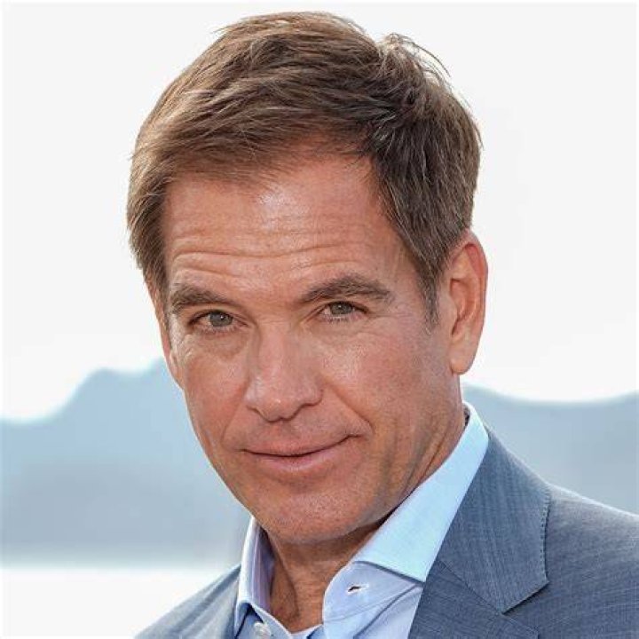 Who is Michael Weatherly's wife? The US Sun