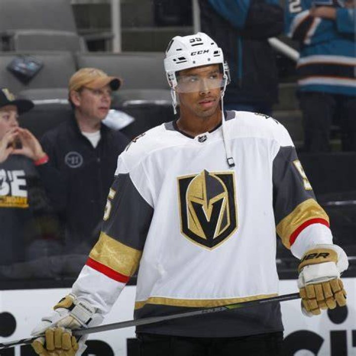 Who Is NHL Player Keegan Kolesar Mother Corrinne Kolesar? Biological