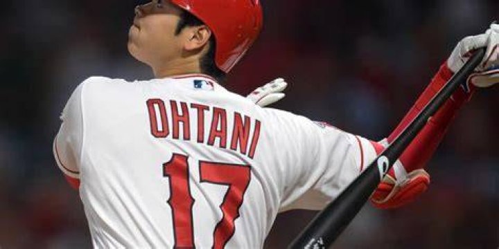 Who Is Ryuta Otani? Facts About Shohei Ohtani&rsquo;s Brother TRAN HUNG DAO