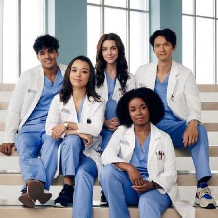 ZingB | Nevertheless, Greys Anatomy Persisted